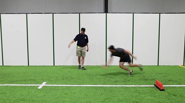 Tennis Ball Drop - Lateral Pushup Position