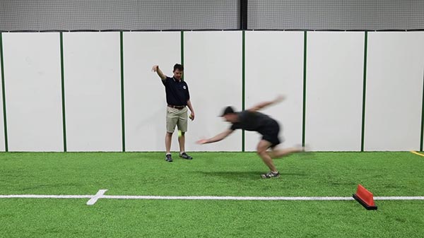 Tennis Ball Drop - Pushup Position