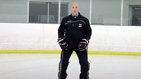 Hockey Player Position